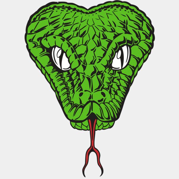 BAW SNAKE 08 RC Thumbnail